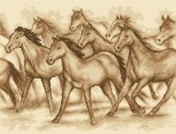 Kanwa z nadrukiem Dzikie konie